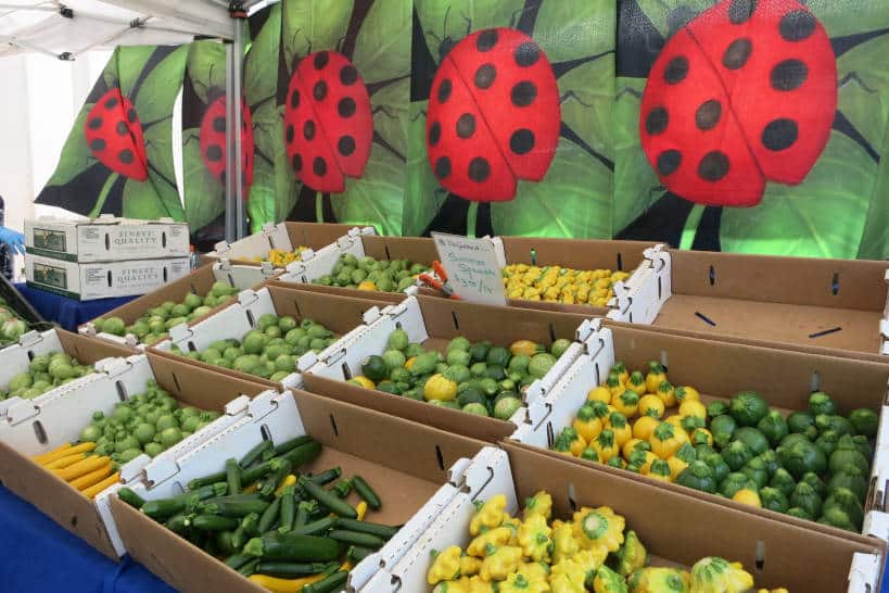 Echo Park Farmers Market Los Angeles Farmers Markets by Authentic Food Quest