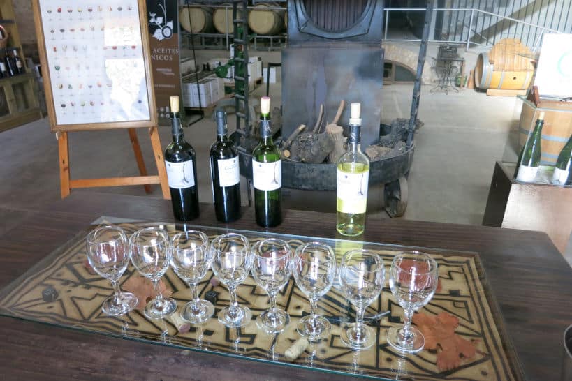 Bodega Cecchin Mendoza Wine Regions by Authentic Food Quest