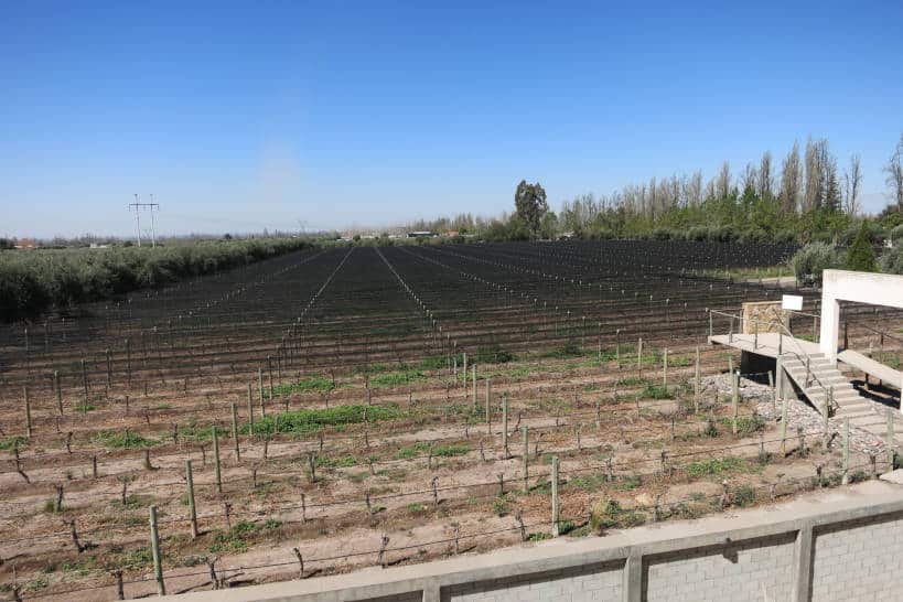 Maipu Valley Mendoza Wine Regions by Authentic Food Quest