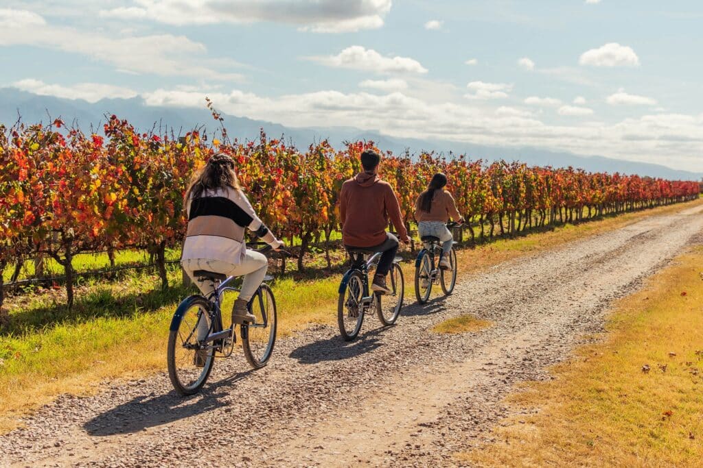 Ojo de agua Wineries Mendoza by Authentic Food Quest