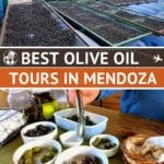 Pinterest Argentina Olive Oil by Authentic Food Quest