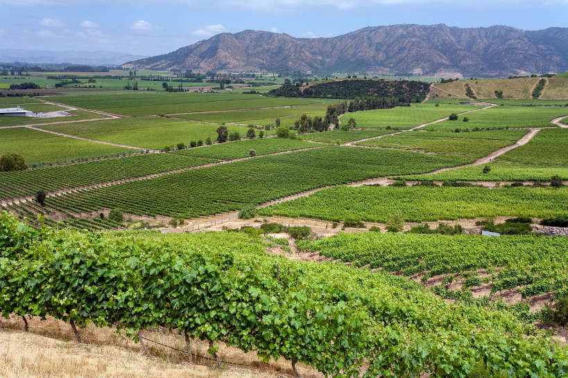 Colchagua Wine Region Chile by Authentic Food Quest