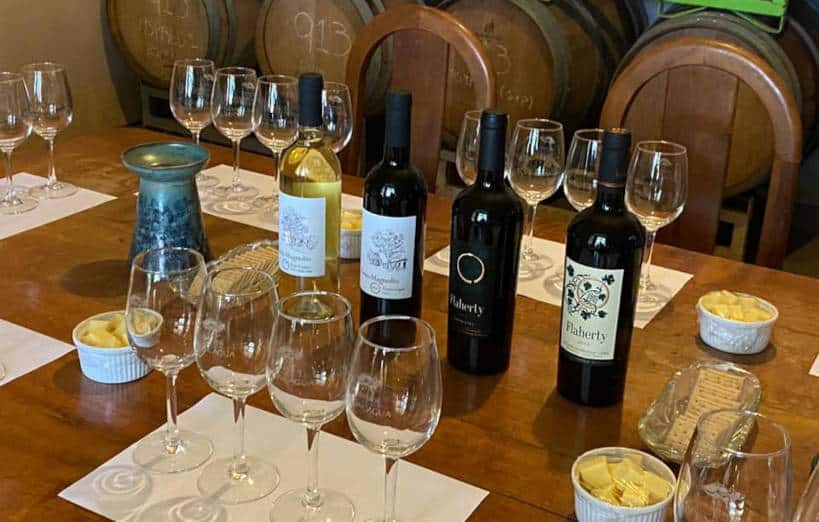 Flaherty Wines Wine Regions Chile by Authentic Food Quest