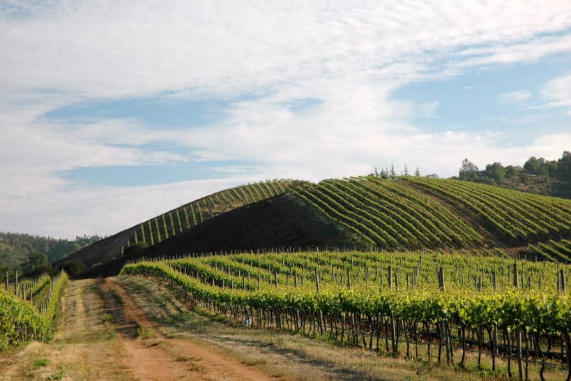 Kingston Family Vineyards Chile Wine Region by Authentic Food Quest