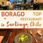 Pinterest Borago Chile by Authentic Food Quest
