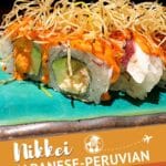 Nikkei Cuisine by Authentic Food Quest