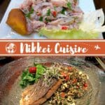 Nikkei Cuisine by Authentic Food Quest