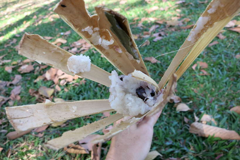 BambooStickyRice2_CambodianStreetFood_AuthenticFoodQuest