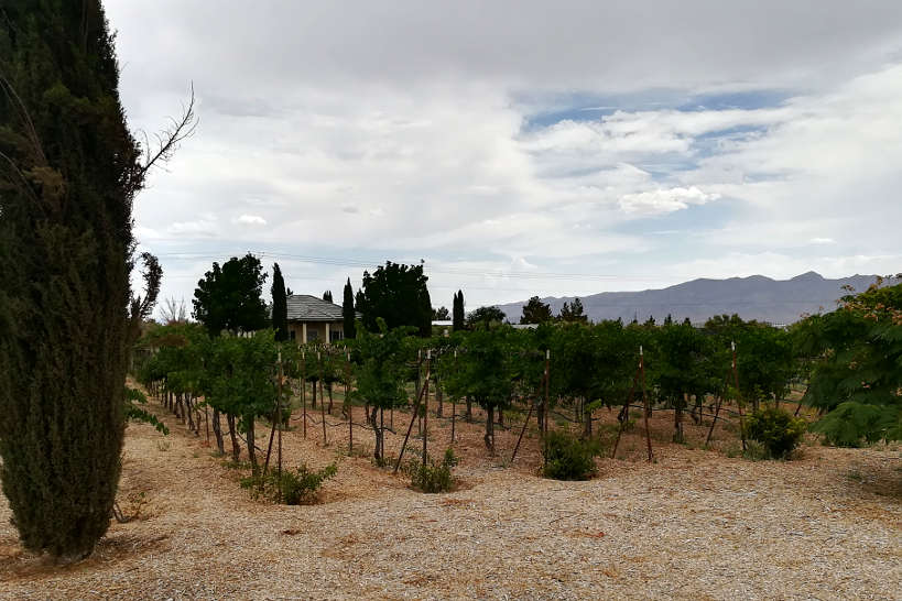 Sanders Las Vegas Winery wineries in Las Vegas by Authentic Food Quest