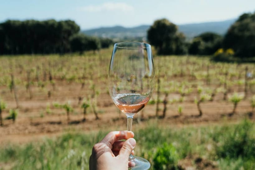 Clos D'Agon Wine Catalonia Wineries by Authentic Food Quest