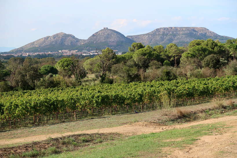 Mas Geli Winery Emporda Wines Spain by AuthenticFoodQuest