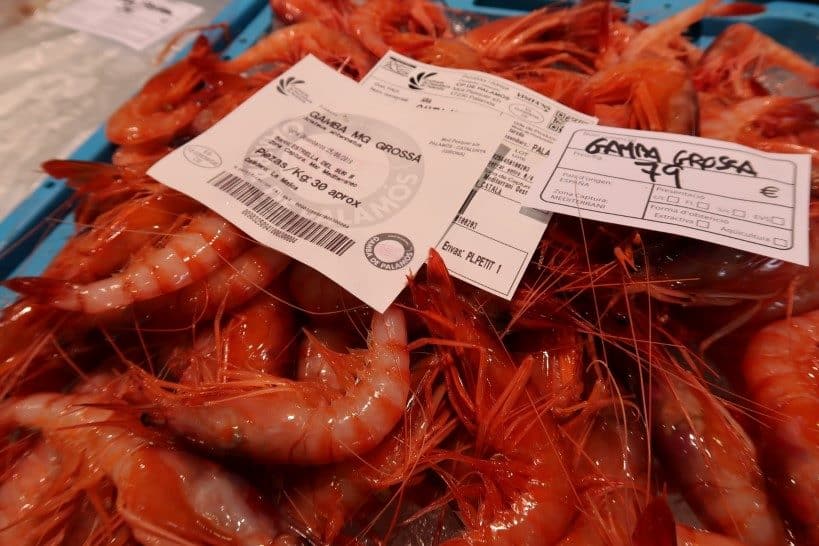 Gambas de Palamos Price by Authentic Food Quest