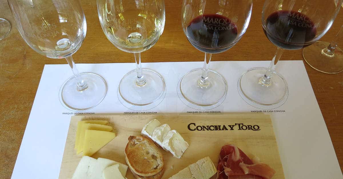 3 Maipo Valley Wineries for the Best Santiago Wine Tours