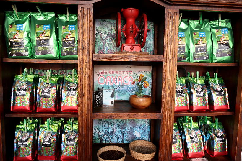 Oaxaca Coffee by Authentic Food Quest