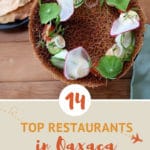 Pinterest 14 of the best Oaxaca Restaurants by AuthenticFoodQuest