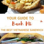 Vietnamese Sandwich Banh Mi by AuthenticFoodQuest