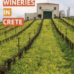 Crete Wineries by Authentic Food Quest