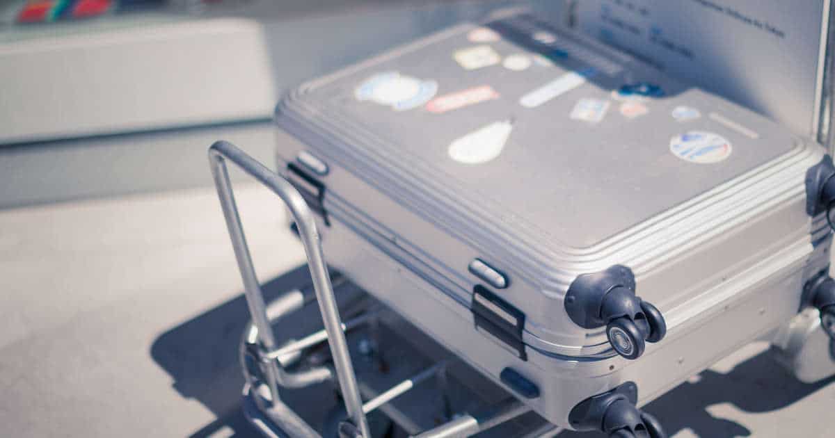 10 Reliable Wine Suitcases to Protect Your Bottles on the Go