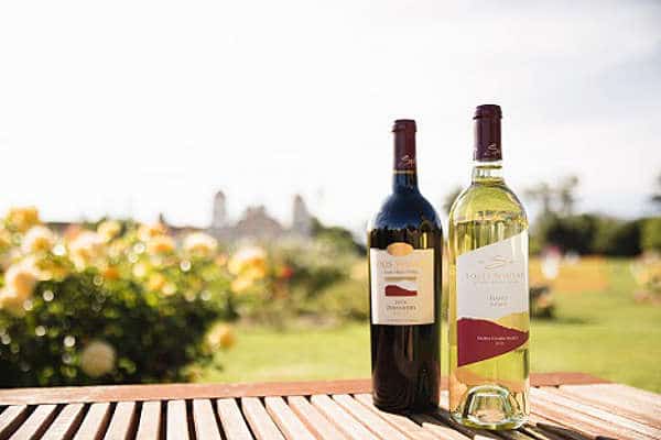 Gold Medal Wine Club International Wines by Authentic Food Quest