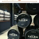 Port Tasting in Porto by Authentic Food Quest