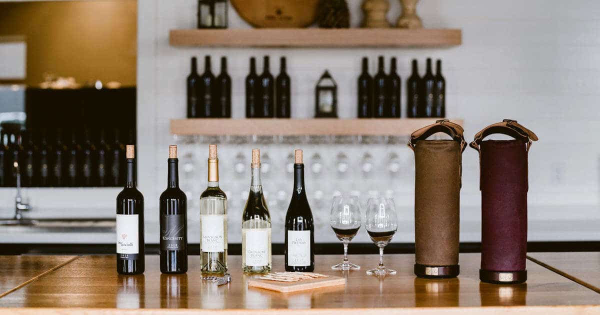 10 Must-Have Travel Wine Bags For Safe Trips