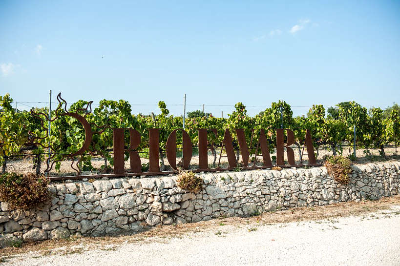 Riofavara Winery Sicily by Authentic Food Quest