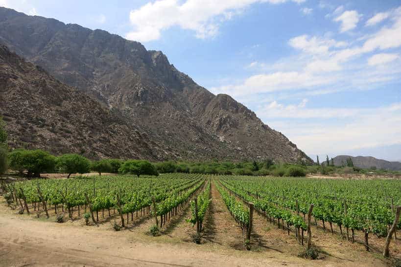 Jose L Mounier Finca Las Nubes Wineries Cafayate Salta Argentina by Authentic Food Quest