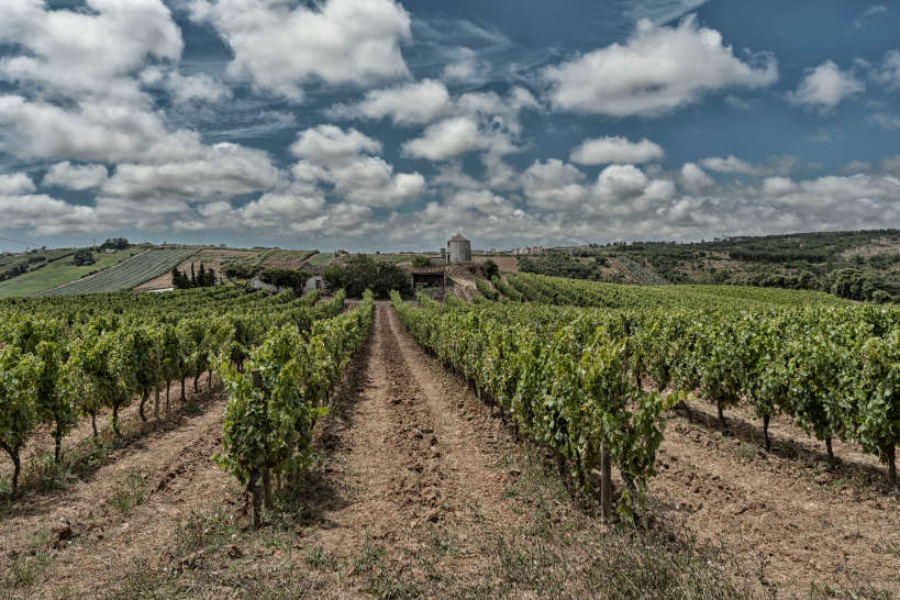 Lisbon Wine Regions Portugal by Authentic Food Quest