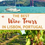 Best Wine Tours in Lisbon by Authentic Food Quest