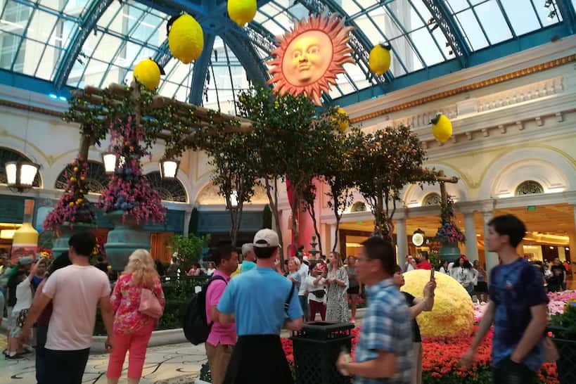 Dress for Las Vegas by Authentic Food Quest