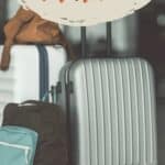 Best Wine Suitcase by Authentic Food Quest