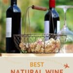 Best Natural Wine Clubs by Authentic Food Quest