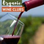 Best Organic Wine Clubs by Authentic Food Quest