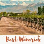 Mendoza Wineries by Authentic Food Quest