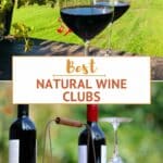 Natural Wine Online by Authentic Food Quest