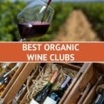 Organic Wine Subscription by Authentic Food Quest