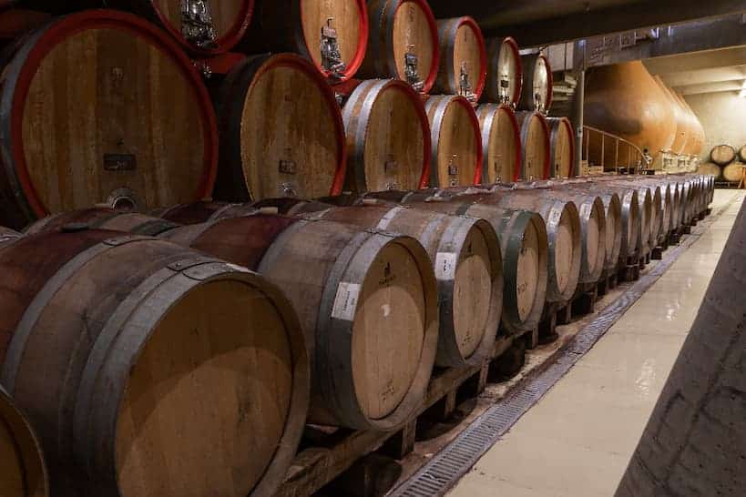 Bodegas RE Wine Tours in Santiago Chile by Authentic Food Quest