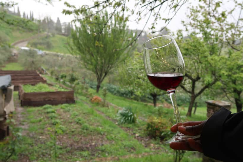 Wine Cooking Class In Florence by Authentic Food Quest