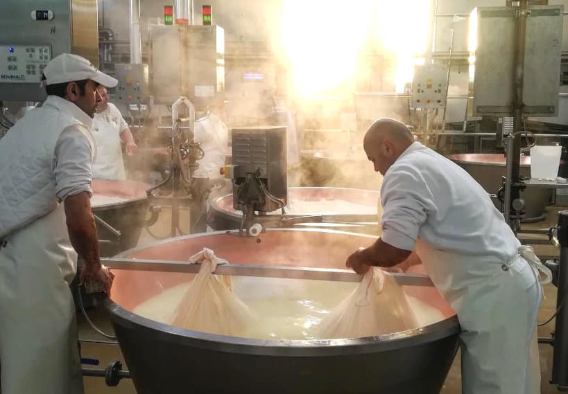 Parmigiano Reggiano Factory Food Tour Bologna by Authentic Food Quest