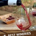 Winery Costa Brava by Authentic Food Quest
