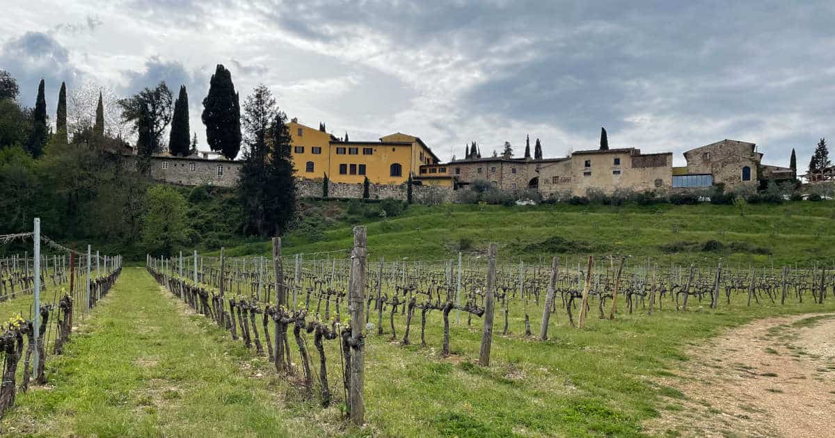10 Amazing Wine Tours from Rome for the Ultimate Wine Adventure