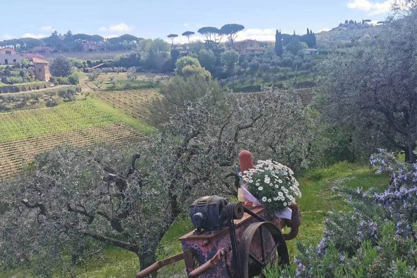 Minardi Historic Winery Frascati Wine Tour Authentic Food Quest