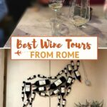 Best Winery Tours from Rome by Authentic Food Quest