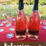 Bulgaria Winery by Authentic Food Quest