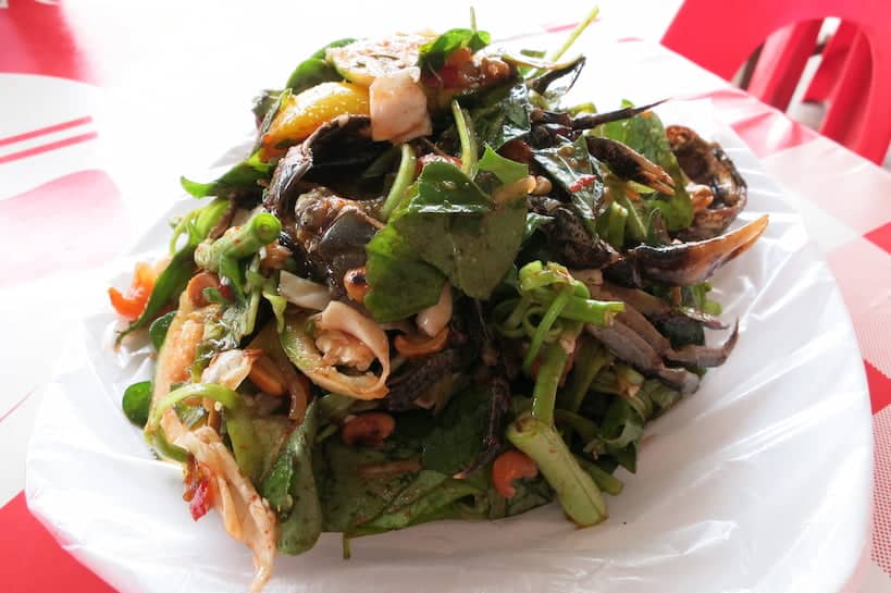 Green Salad Cooking Classes in Siem Reap by Authentic Food Quest
