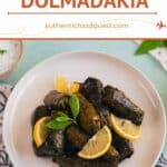 Dolmadakia Recipe by Authentic Food Quest