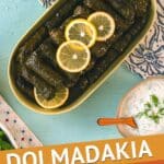 Greek Dolmadakia by Authentic Food Quest