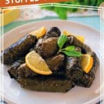 Greek Stuffed Grape Leaves by Authentic Food Quest