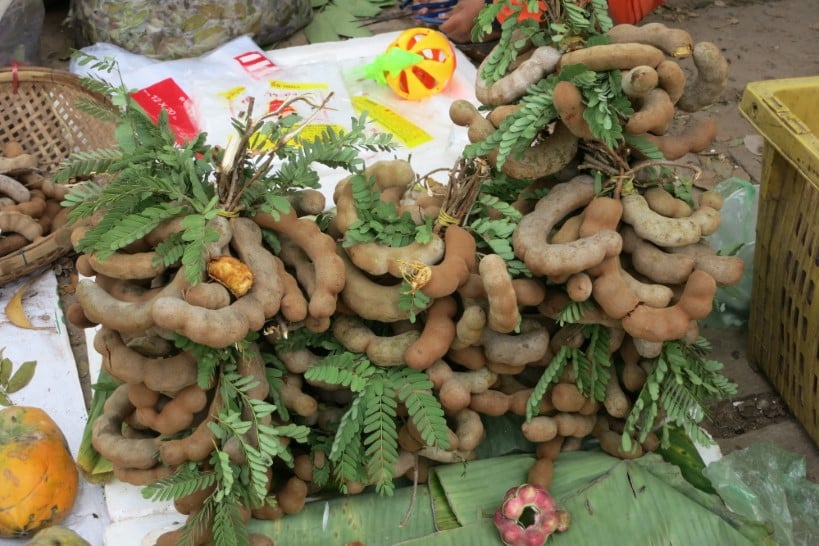 Tamarind Cooking Classe Siem Reap by Authentic Food Quest
