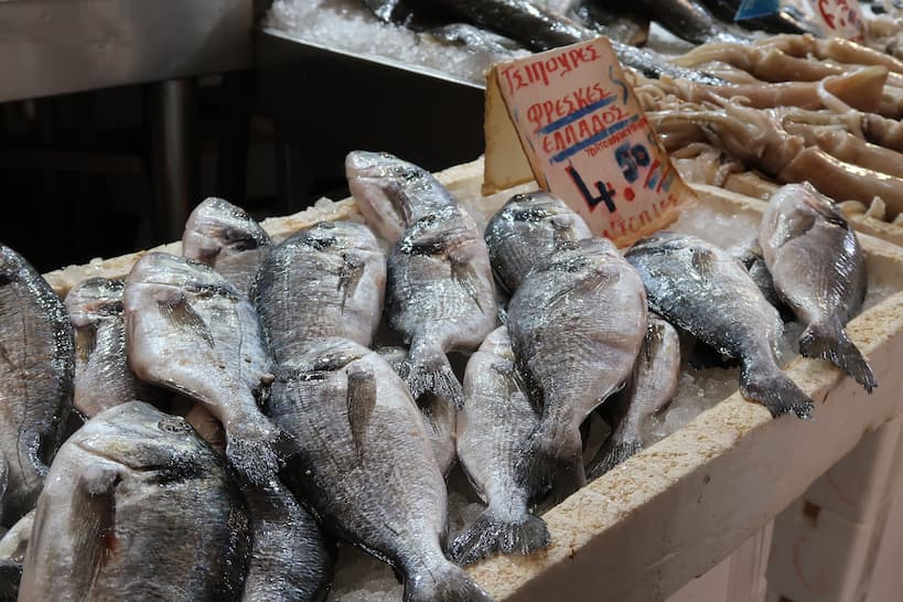 Fish Stand at Athens Fish Market by Authentic Food Quest